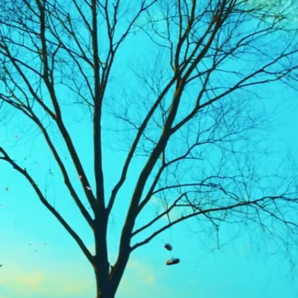 Meet your Posher, Megan - Picture 1 of 1